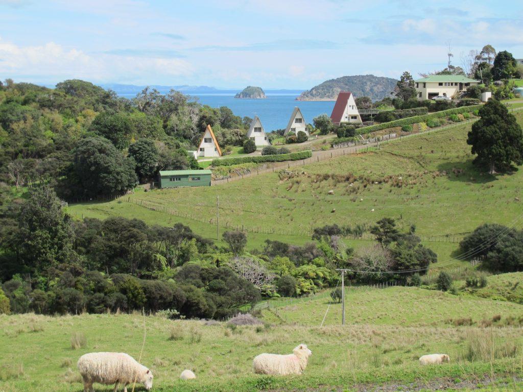 Pohutukawa Coastal Chalets Coromandel Eksteriør bilde